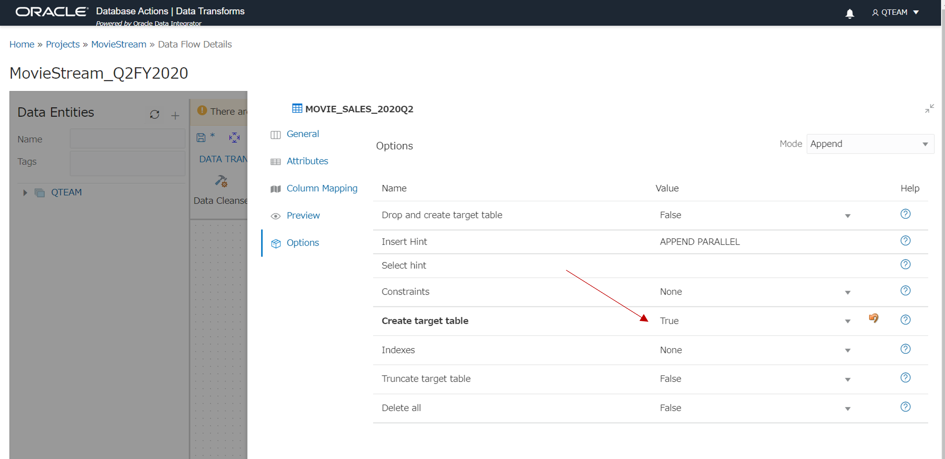 プロパティ画面を開いて、Optionsを押した画面