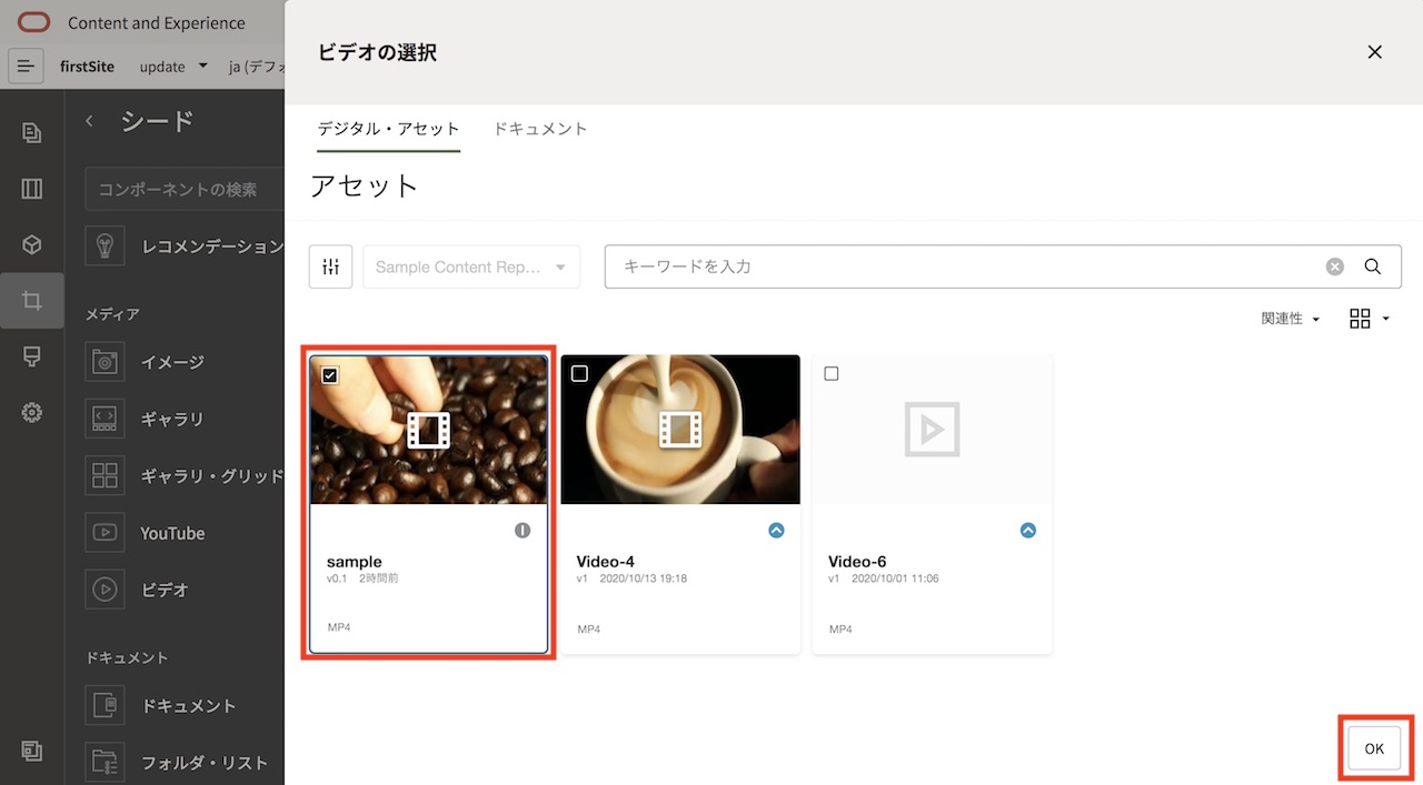 Video Assetsの選択
